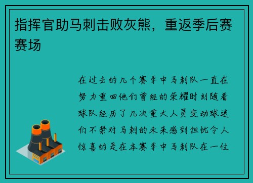 指挥官助马刺击败灰熊，重返季后赛赛场